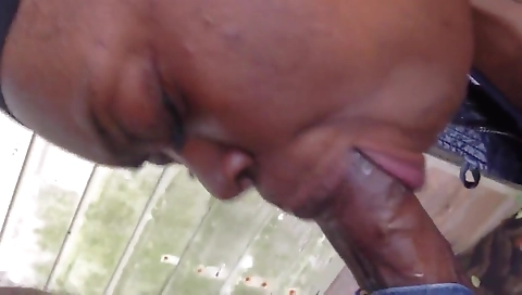 Amature brunette ebony pussy video with deep throat